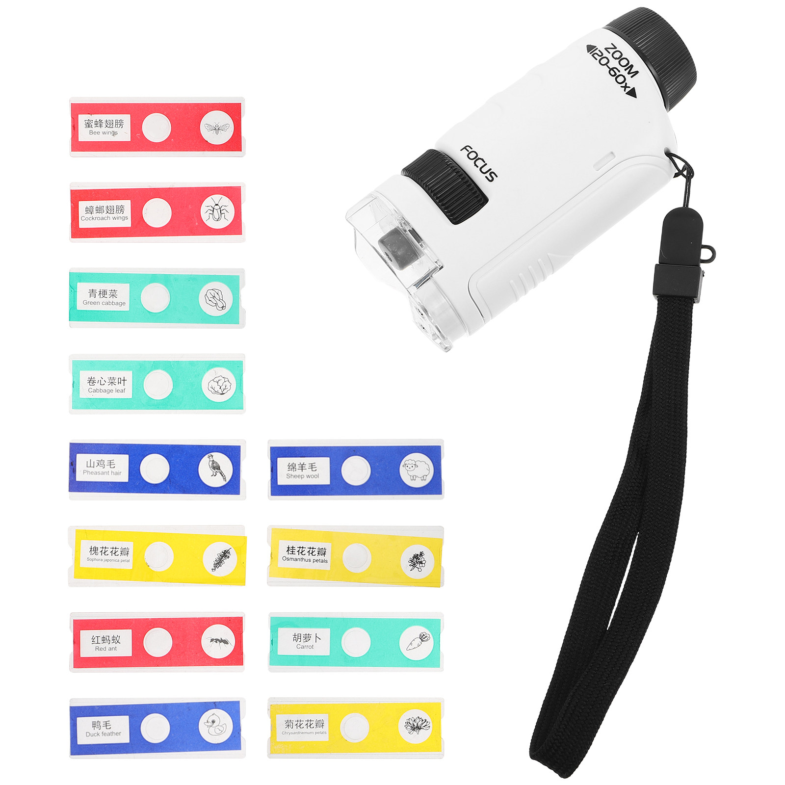 Kids Handheld Microscope Set P - Kids Outdoor Microscope ulasan dan harga