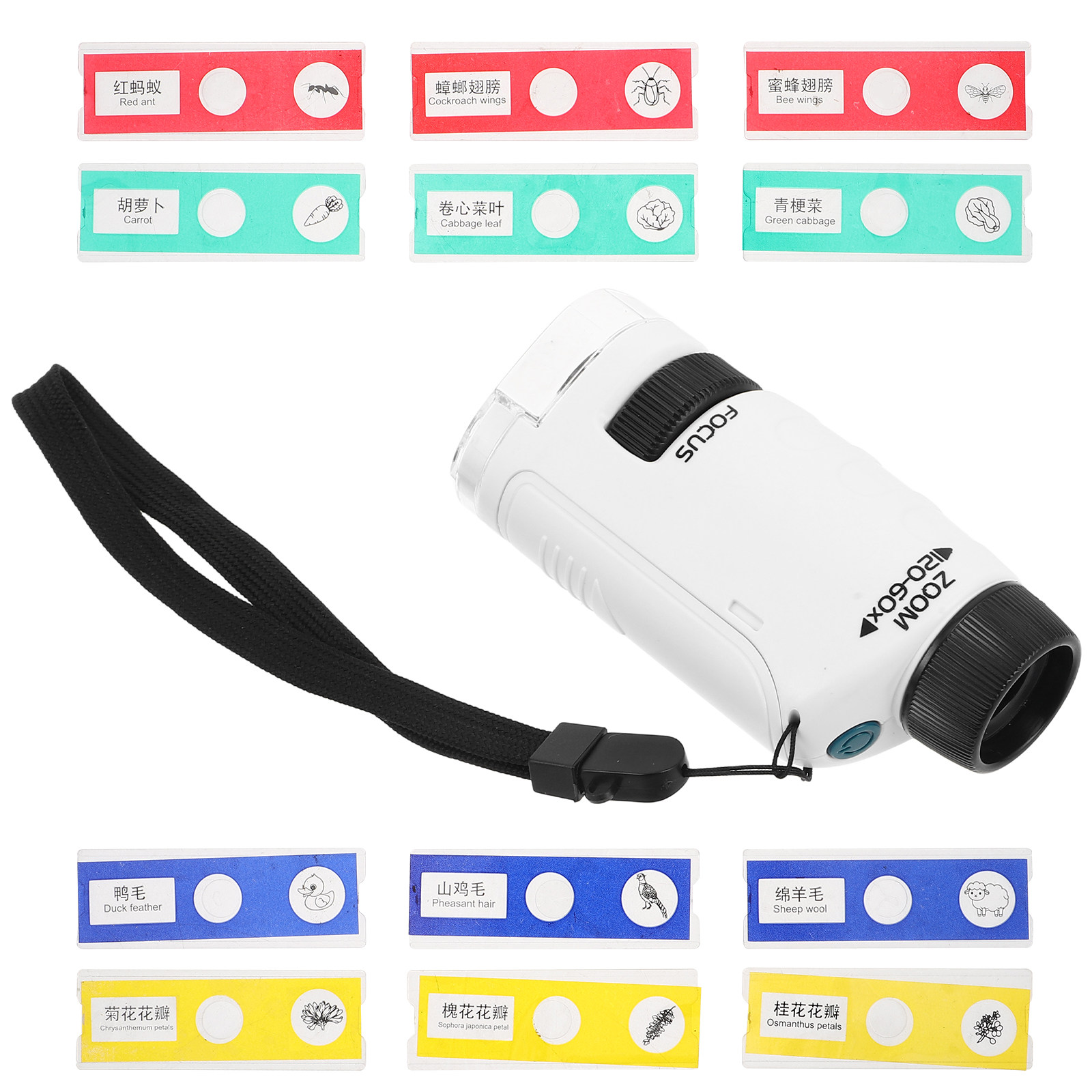 Kids Handheld Microscope Set P - Kids Outdoor Microscope ulasan dan harga